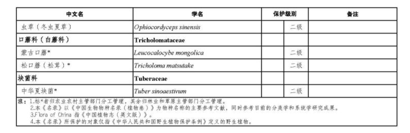 皇冠信用盘会员开户
_价值18万余元！男子在祁连山非法收购5632根冬虫夏草皇冠信用盘会员开户
，构成危害国家重点保护植物罪获刑