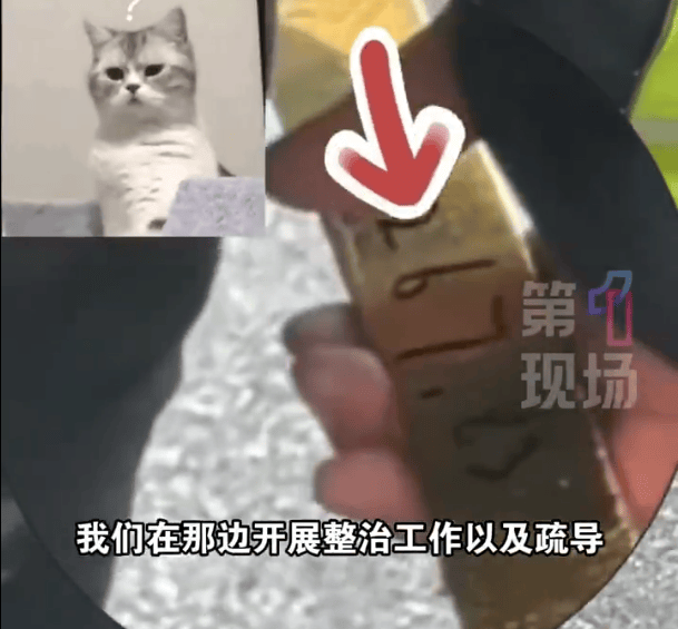 巴西甲组联赛_深圳一市民捡到2267.83克巨型金条巴西甲组联赛,警方介入找到失主,网友:巧克力我都不敢买这么大的